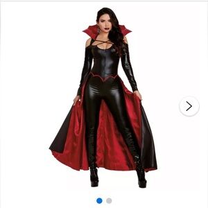 Adult Princess of Darkness Costume (used once)